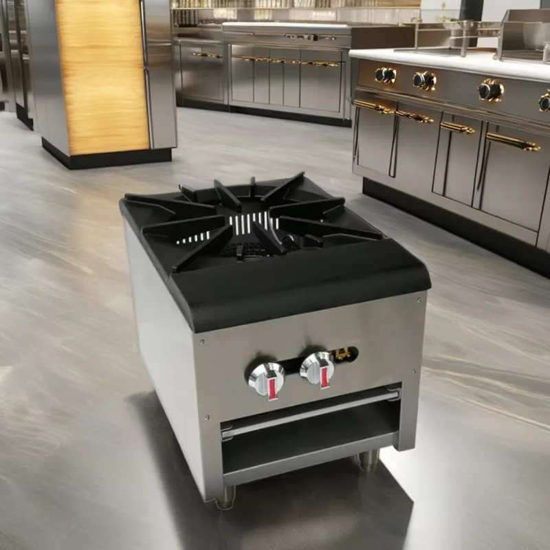 Commercial Stainless Steel Gas - Commercial Kitchen Boiler 评论和价格